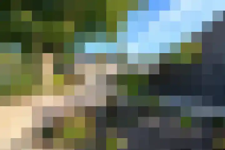 De Nova Cura 119 Drachten thumbnail 41