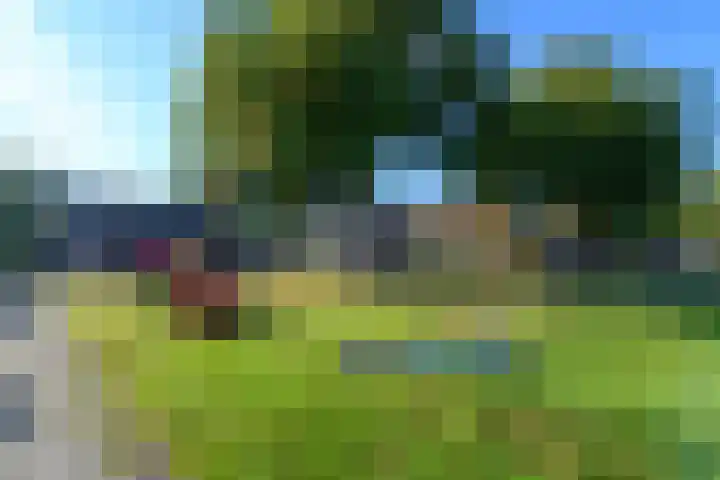 De Nova Cura 119 Drachten thumbnail 42