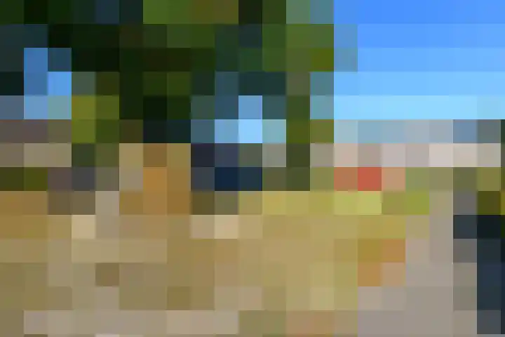 De Nova Cura 119 Drachten thumbnail 43
