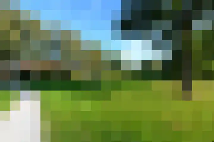 De Nova Cura 119 Drachten thumbnail 44