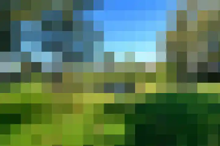 De Nova Cura 119 Drachten thumbnail 45