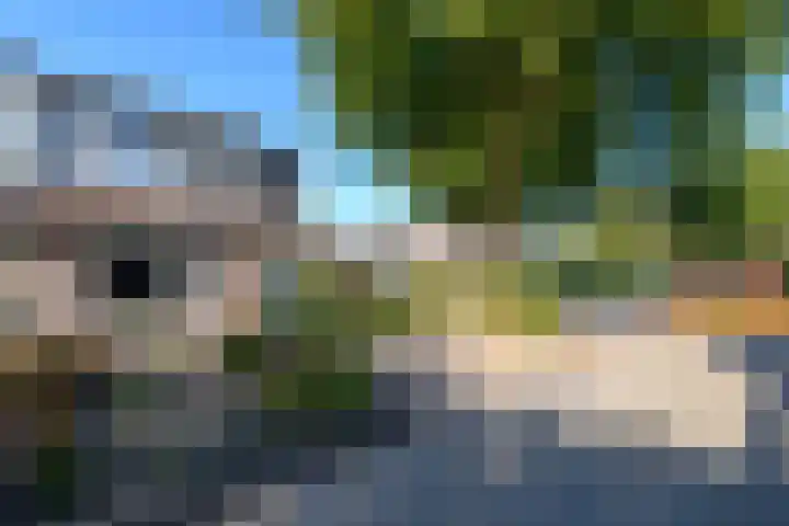 De Nova Cura 119 Drachten thumbnail 46