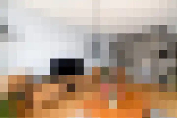 De Nova Cura 119 Drachten thumbnail 7