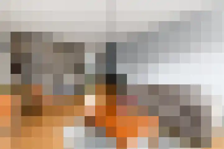 De Nova Cura 119 Drachten thumbnail 8