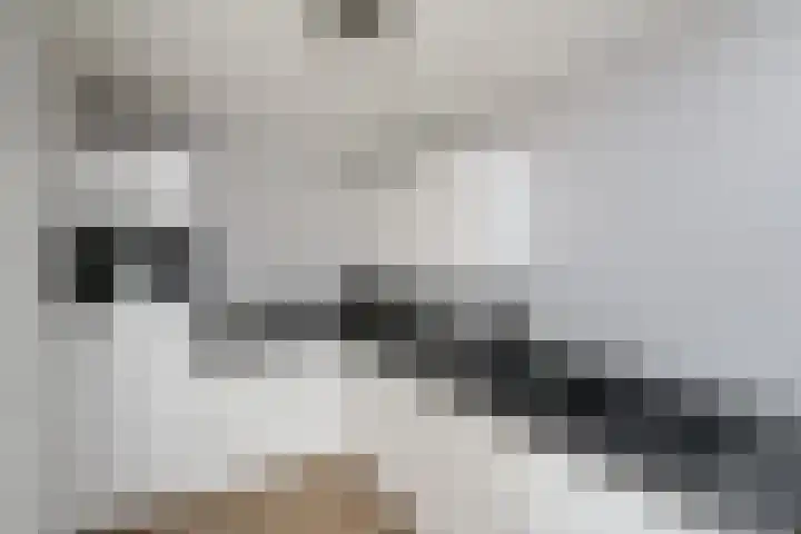 De Nova Cura 140 Drachten thumbnail 12