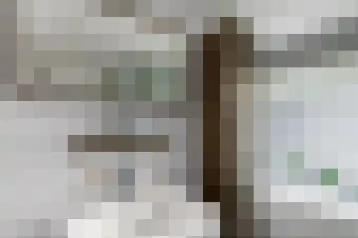 De Nova Cura 140 Drachten thumbnail 27