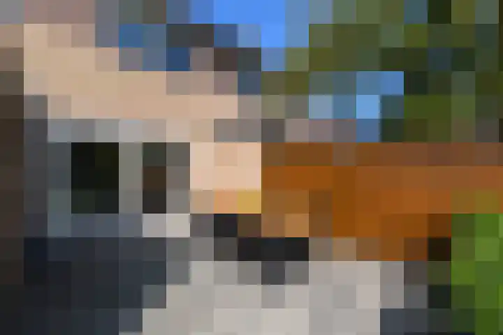 De Nova Cura 140 Drachten thumbnail 37
