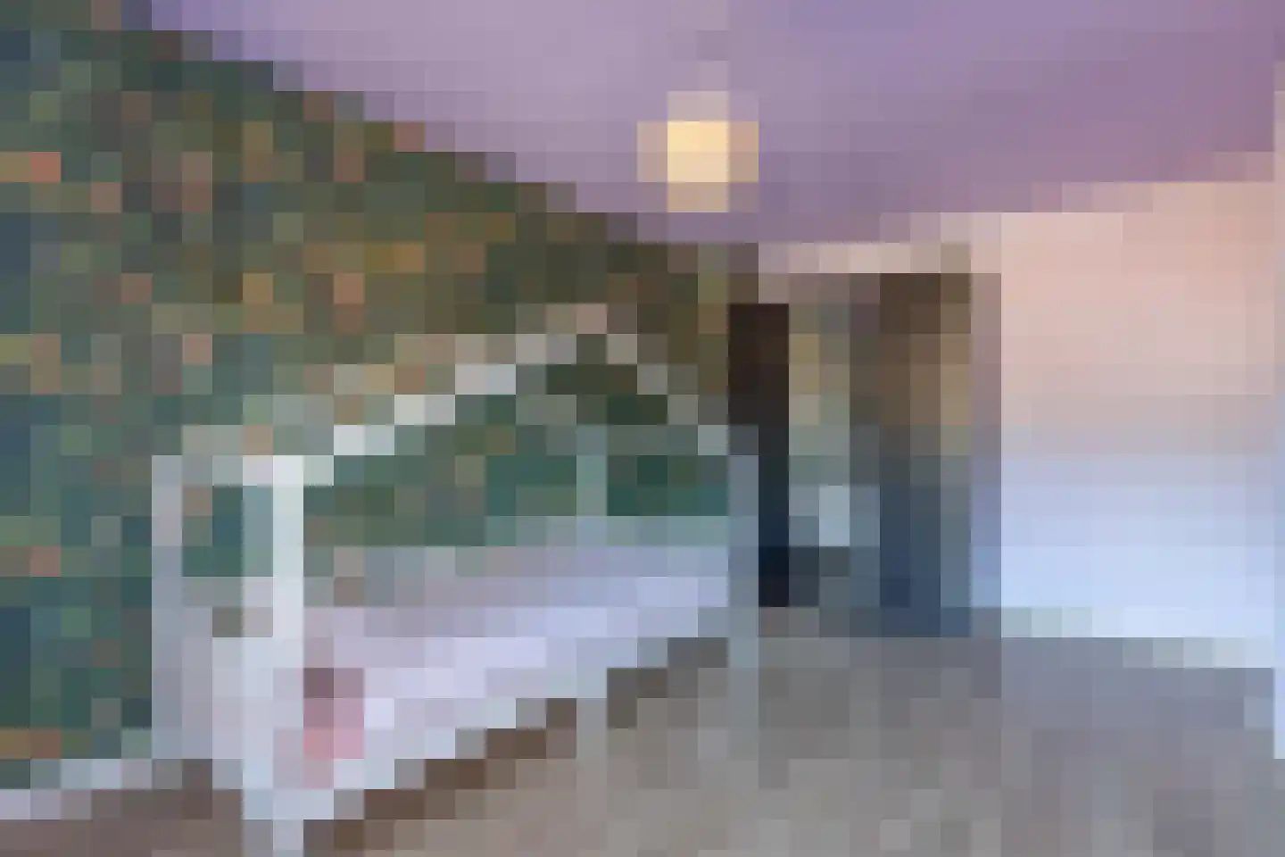 De Nova Cura 152 Drachten thumbnail 24