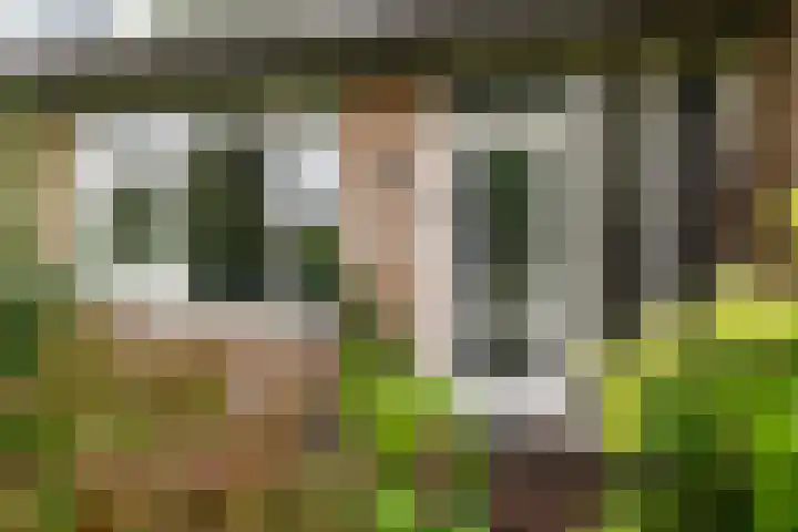 De Nova Cura 173 Drachten thumbnail 10