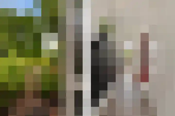 De Nova Cura 173 Drachten thumbnail 12