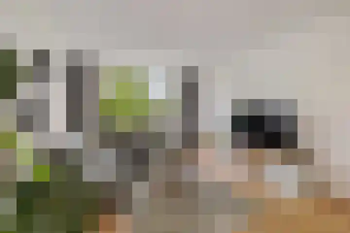 De Nova Cura 173 Drachten thumbnail 14