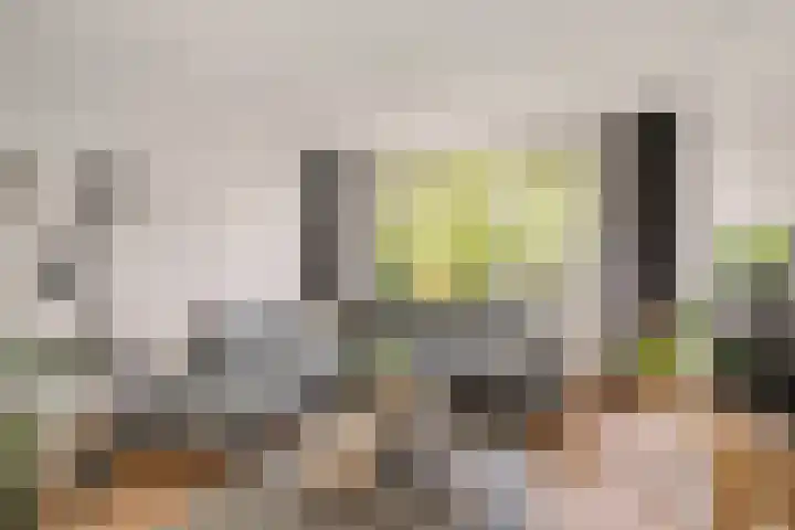 De Nova Cura 173 Drachten thumbnail 15