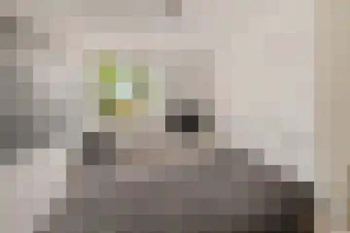De Nova Cura 173 Drachten thumbnail 36