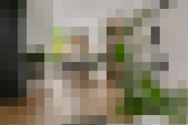 De Nova Cura 173 Drachten thumbnail 4