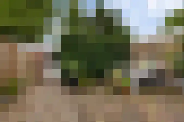 De Nova Cura 173 Drachten thumbnail 42