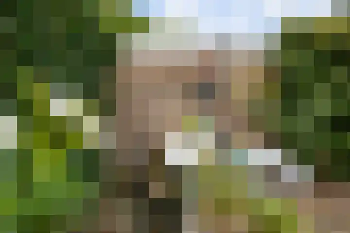 De Nova Cura 173 Drachten thumbnail 44