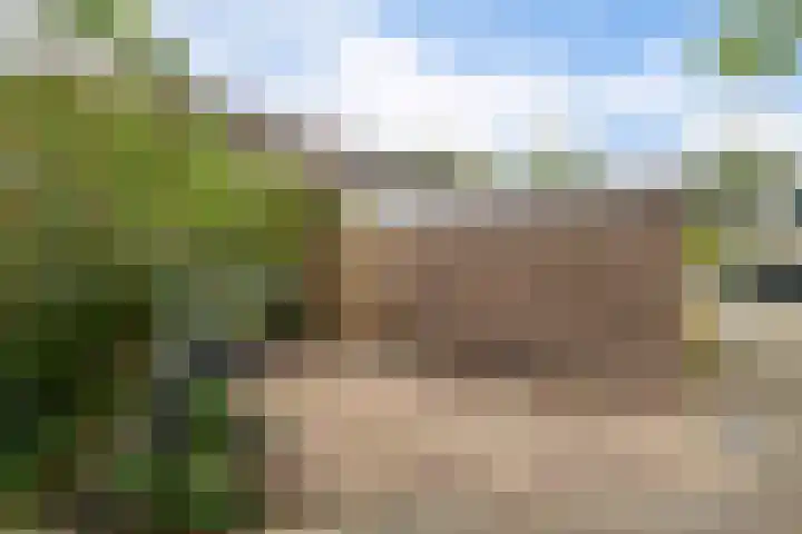 De Nova Cura 173 Drachten thumbnail 47