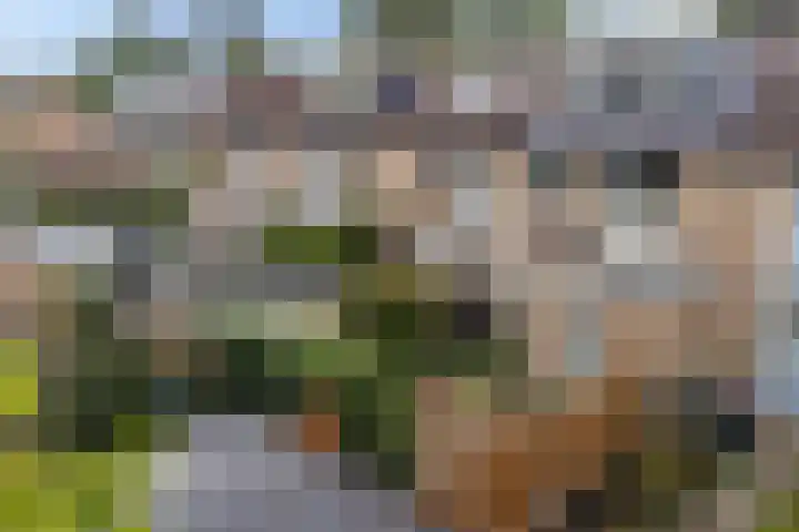 De Nova Cura 173 Drachten thumbnail 48