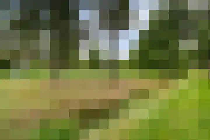 De Nova Cura 173 Drachten thumbnail 5