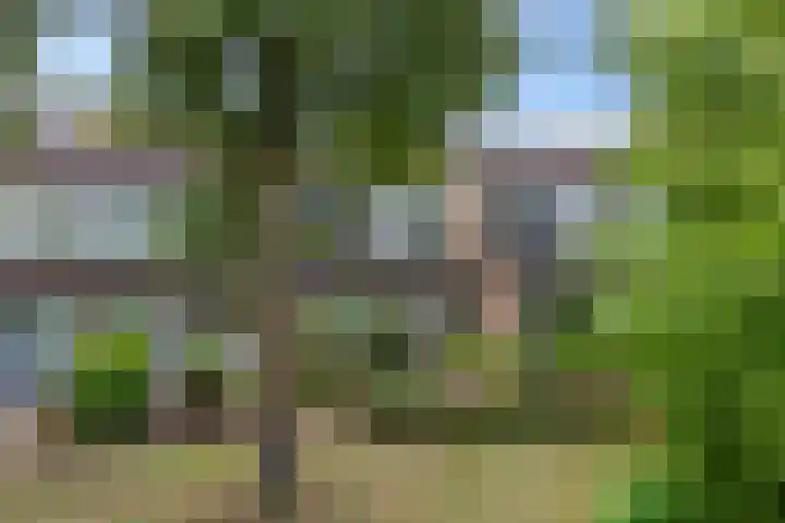 De Nova Cura 173 Drachten thumbnail 51