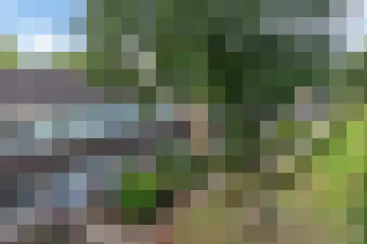 De Nova Cura 173 Drachten thumbnail 52
