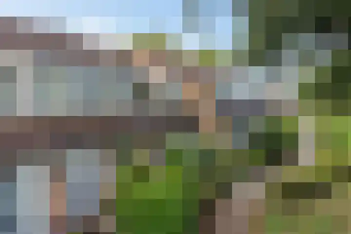 De Nova Cura 173 Drachten thumbnail 53