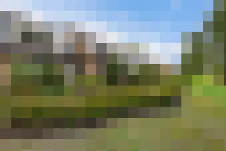 De Nova Cura 173 Drachten thumbnail 7