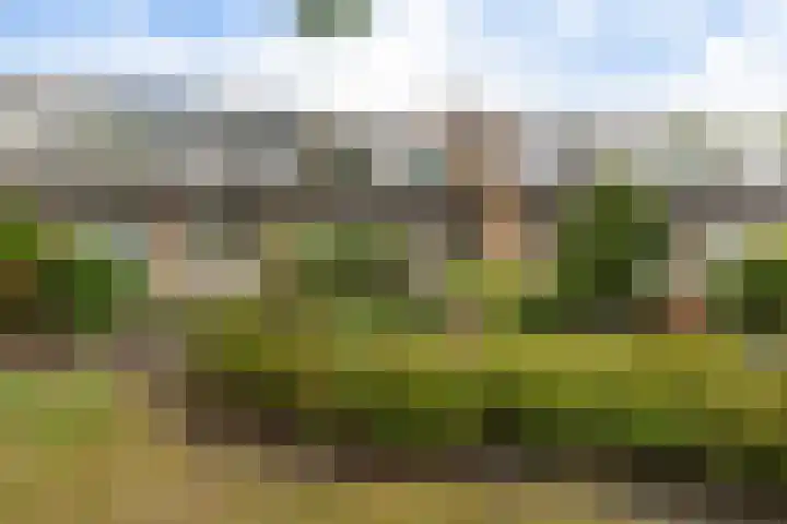 De Nova Cura 173 Drachten thumbnail 8