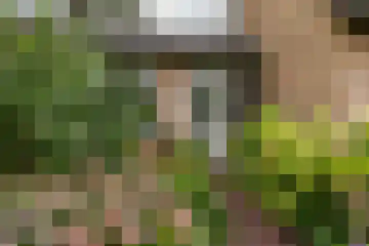 De Nova Cura 173 Drachten thumbnail 9