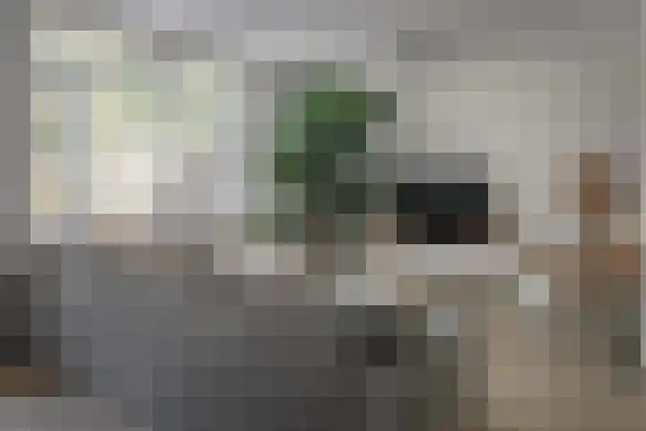 De Nova Cura 21 Drachten thumbnail 10