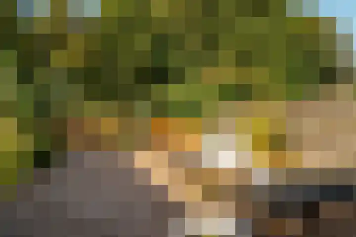 De Nova Cura 21 Drachten thumbnail 33