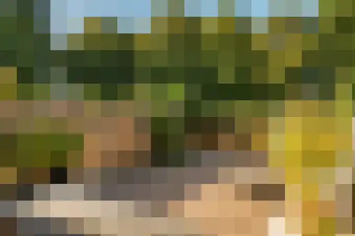 De Nova Cura 21 Drachten thumbnail 34