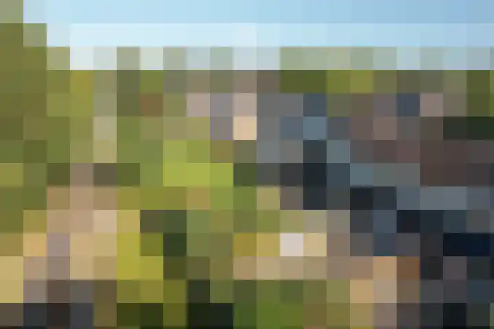 De Nova Cura 21 Drachten thumbnail 35
