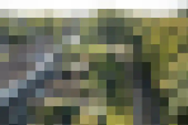 De Nova Cura 21 Drachten thumbnail 36