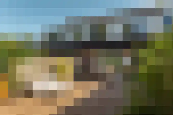 De Nova Cura 21 Drachten thumbnail 38