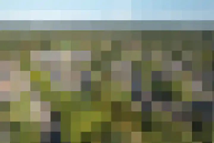 De Nova Cura 21 Drachten thumbnail 39
