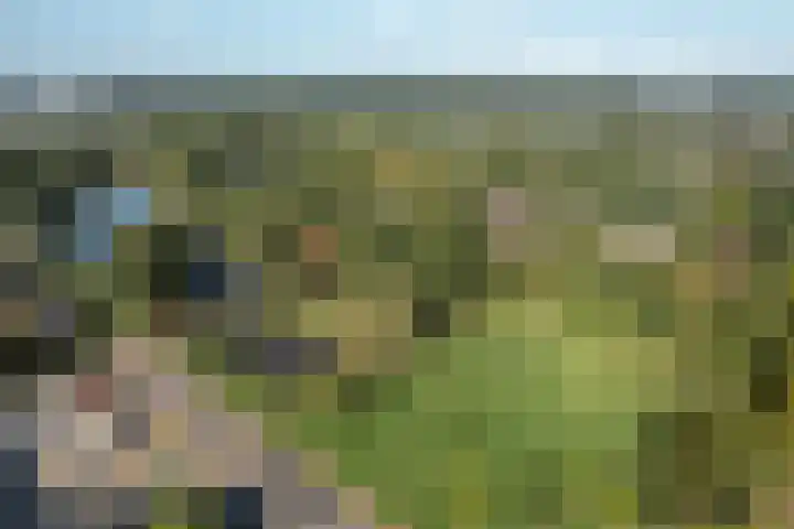 De Nova Cura 21 Drachten thumbnail 40