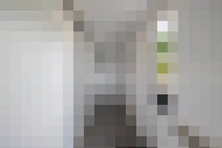 De Nova Cura 263 Drachten thumbnail 19