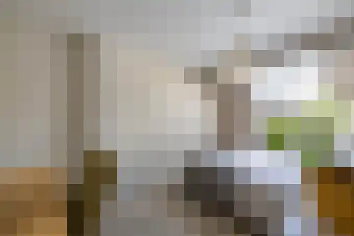 De Nova Cura 263 Drachten thumbnail 28
