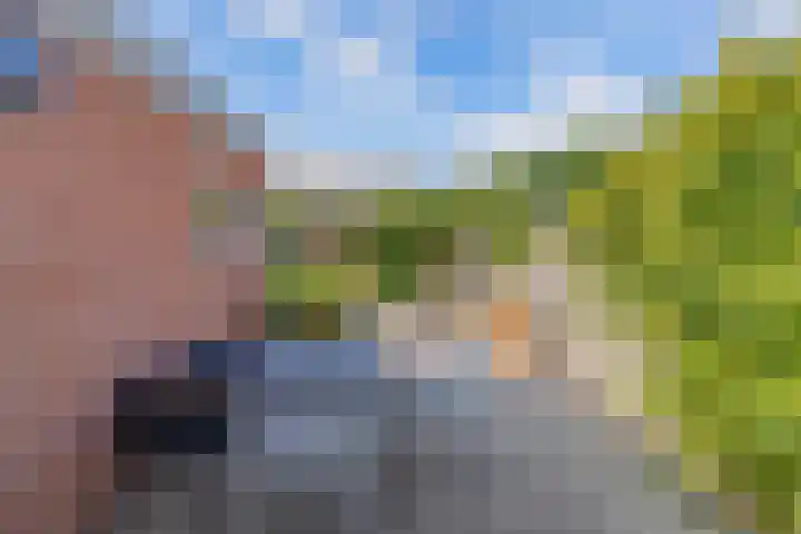 De Nova Cura 263 Drachten thumbnail 38