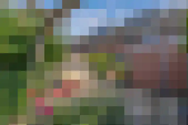 De Nova Cura 263 Drachten thumbnail 39