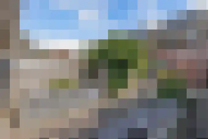 De Nova Cura 263 Drachten thumbnail 4