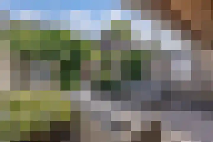 De Nova Cura 263 Drachten thumbnail 42