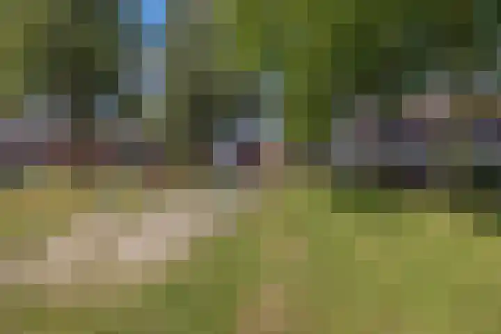 De Nova Cura 263 Drachten thumbnail 47