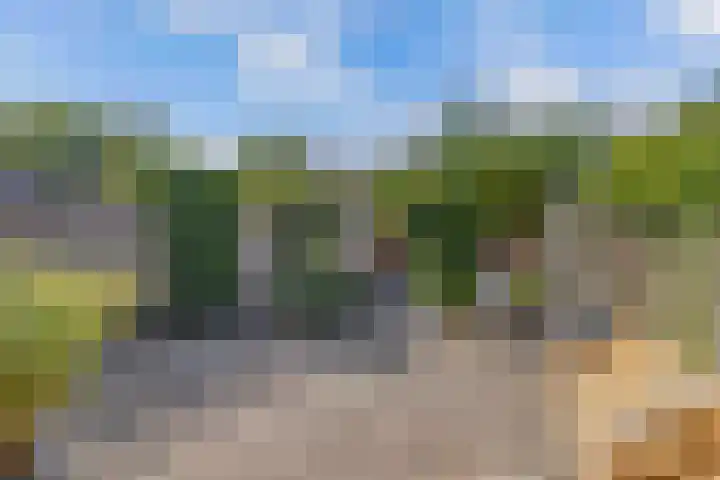De Nova Cura 263 Drachten thumbnail 5