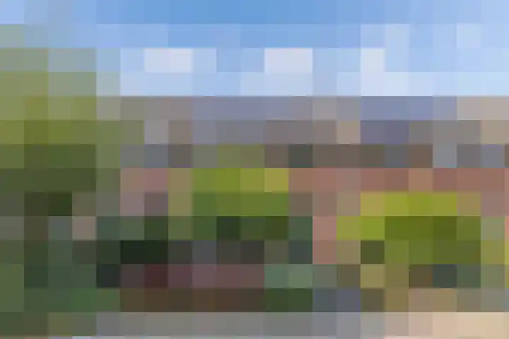 De Nova Cura 263 Drachten thumbnail 6