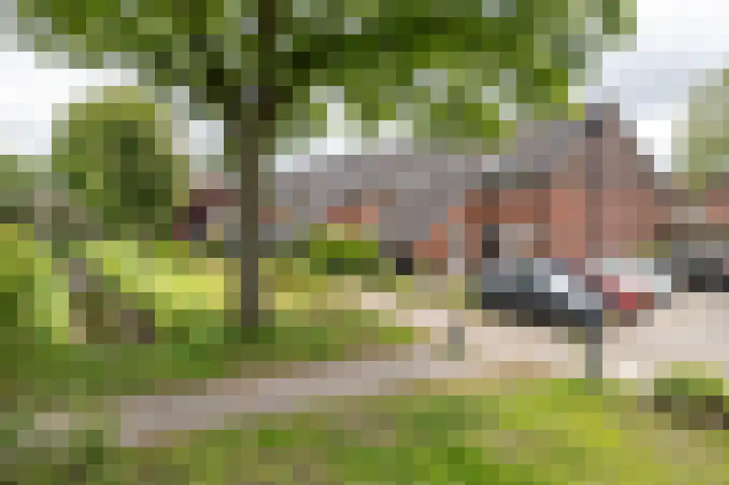 De Nova Cura 271 Drachten thumbnail 30