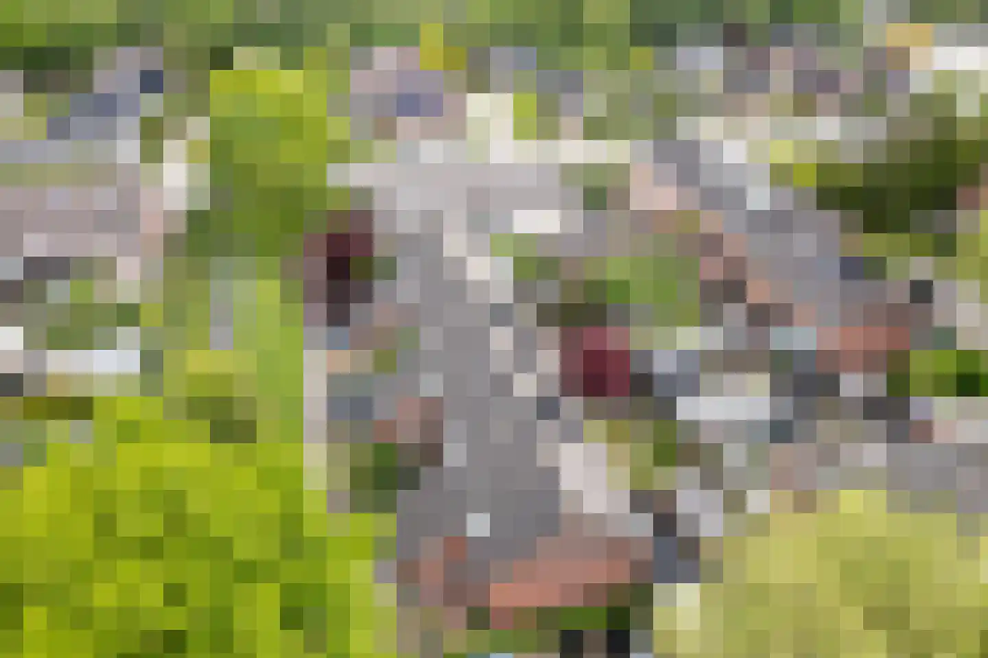De Nova Cura 271 Drachten thumbnail 31