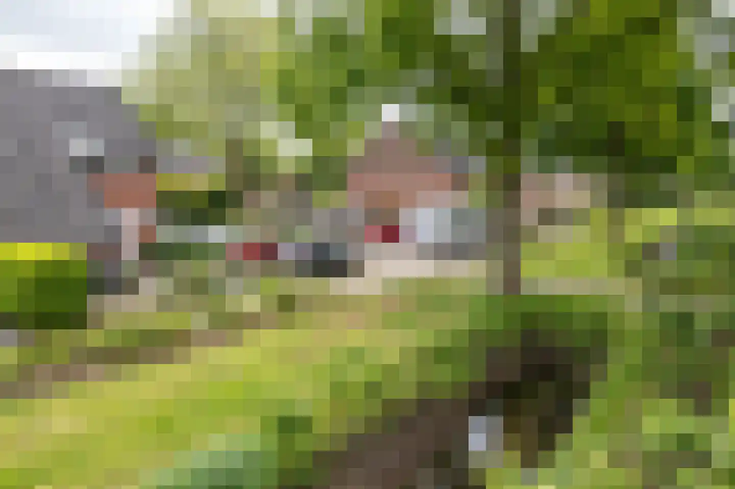 De Nova Cura 271 Drachten thumbnail 32
