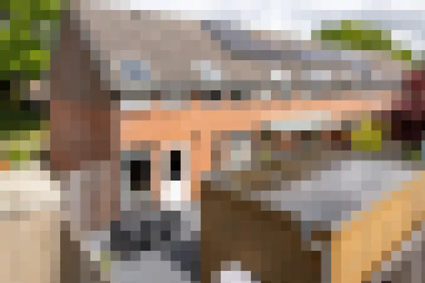De Nova Cura 271 Drachten thumbnail 34